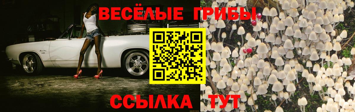 Галлюциногенные грибы MAGIC MUSHROOMS Ярославль