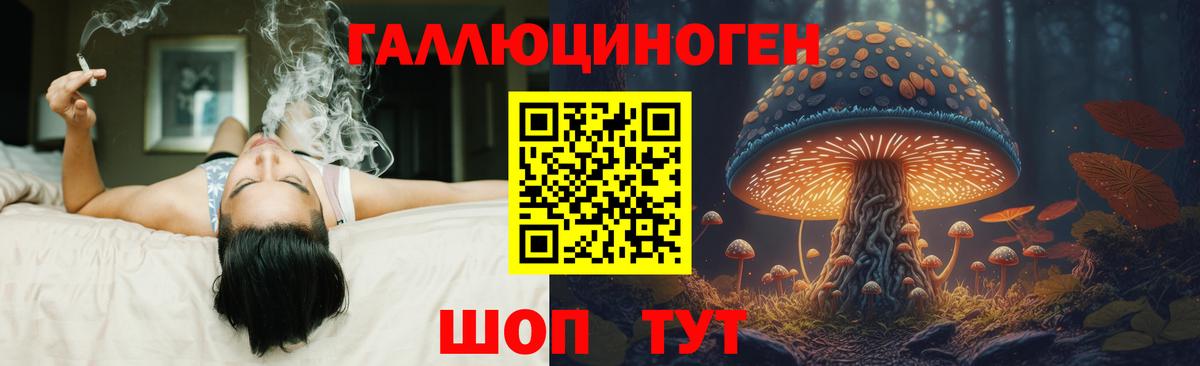 Ярославль  Псилоцибиновые грибы Psilocybe  Вход с VPN 