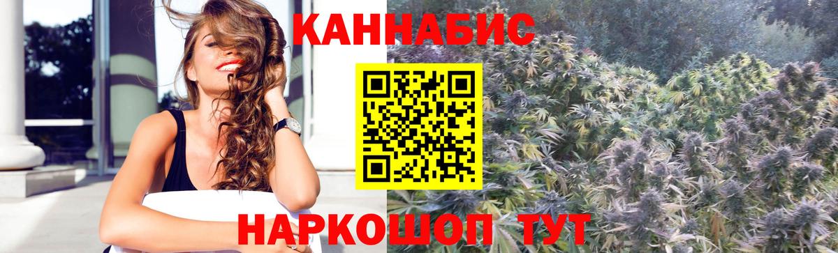 Каннабис MAZAR Ярославль